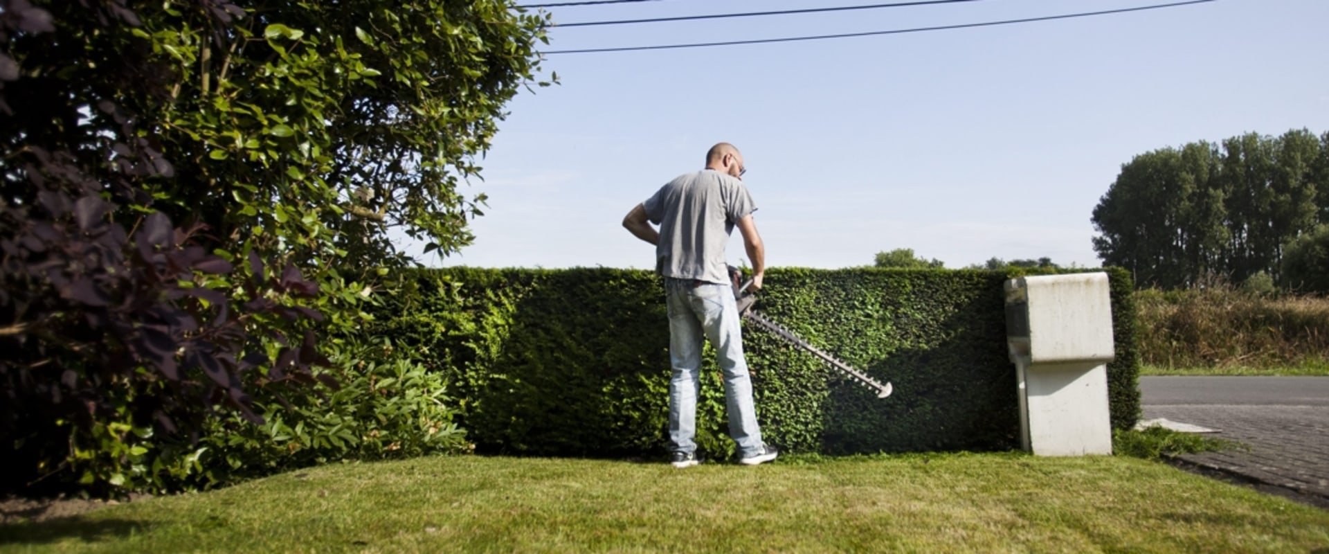 Wat is het belangrijkste hulpmiddel dat elke tuinman zou moeten hebben?