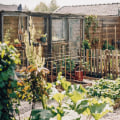 Hoe start je stap voor stap een moestuin?