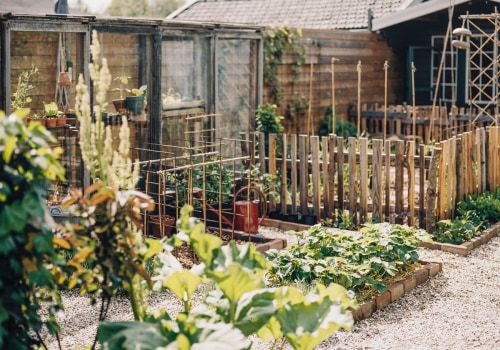 Hoe start je stap voor stap een moestuin?